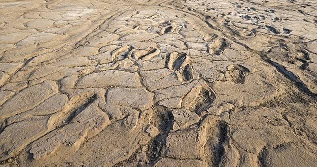 Unearthing History: Oldest Human Footprints Found in South Africa