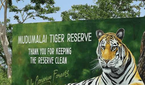 Mudumalai Wildlife Sanctuary: A Gateway to the Nilgiri Biosphere Reserve