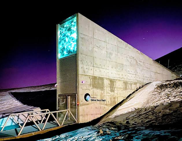 The Seed Vault: A Symbol of Hope for the Future of Food Security