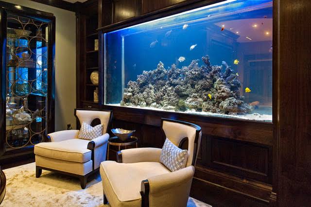 Create a Beautiful Aquarium with These Easy Tips