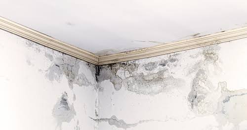 How to Fix Wall Seepage and Prevent It from Happening Again