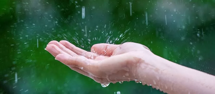 The Monsoon Season is Here: Here’s How to Stay Healthy