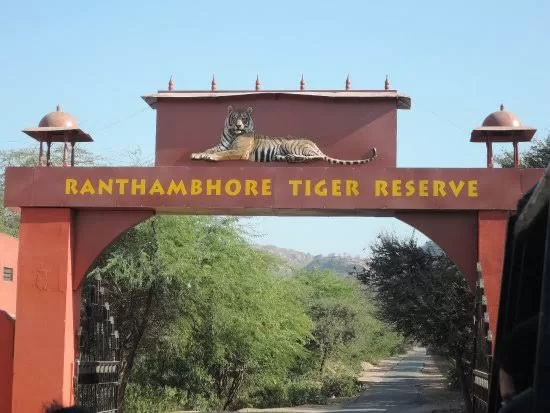 Ranthambore National Park: The Land of the Tigers