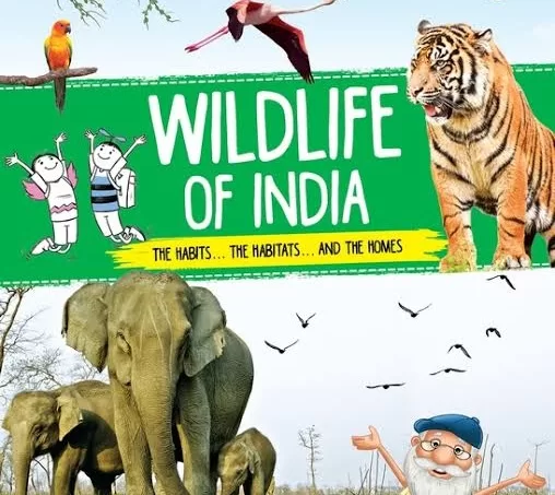Monsoon Magic: A Safari Through India’s Vibrant Wildlife