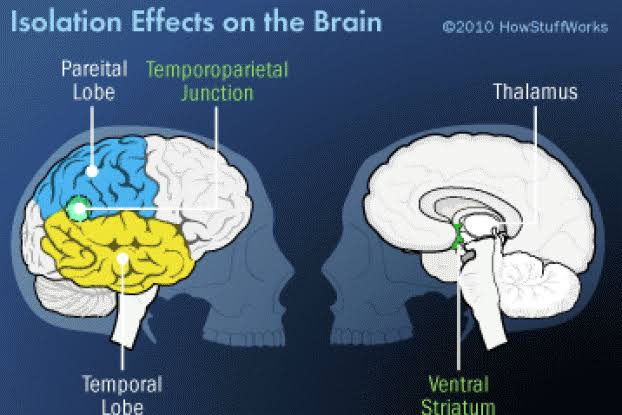 How Loneliness Affects Your Brain, New Study Shows