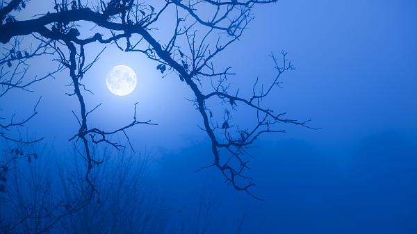 Super Blue Moon 2023: A Celestial Event to Illuminate the Night