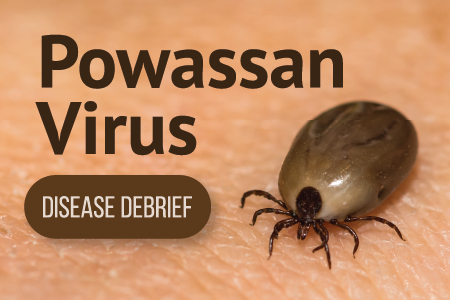 Understanding the Powassan Virus and Its Impact