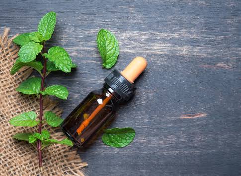 10 Amazing Benefits of Peppermint Oil