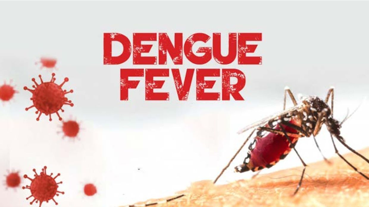 Dengue Fever Demystified: Causes and Remedies