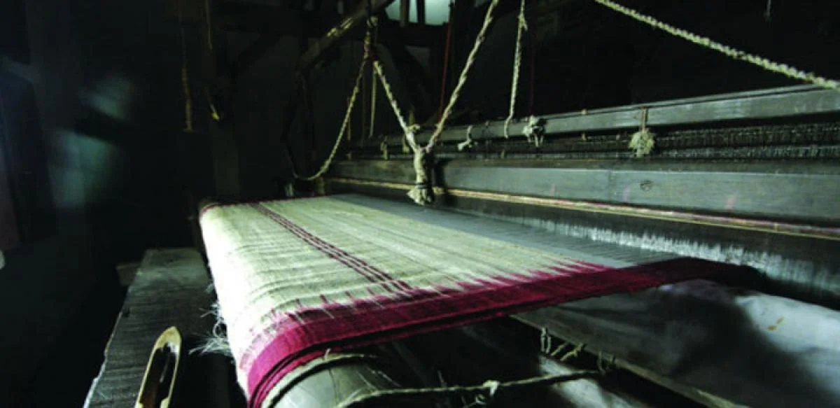 Champa, (C.G.) – The Hub of Kosa Tassar Silk Fabric and Saree